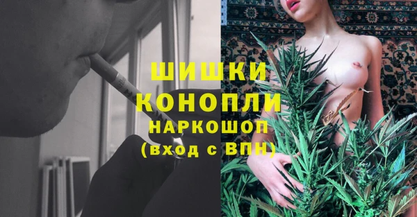 ГАЛЛЮЦИНОГЕННЫЕ ГРИБЫ Вязьма