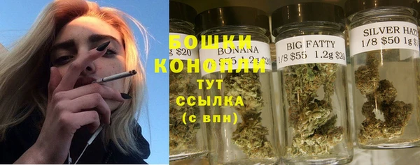 ГАЛЛЮЦИНОГЕННЫЕ ГРИБЫ Вязьма
