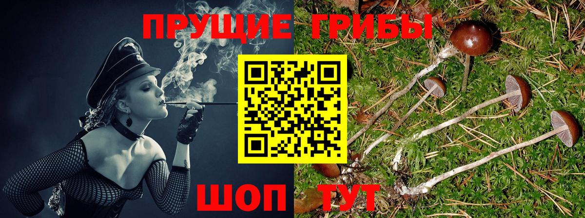 Галлюциногенные грибы прущие грибы  Вход с VPN  купить наркотик  Снежинск 
